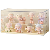 Acrylic Display Case